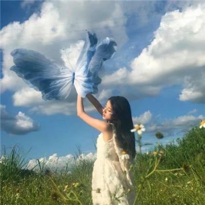 蓬莱龙棺之徐福宝藏